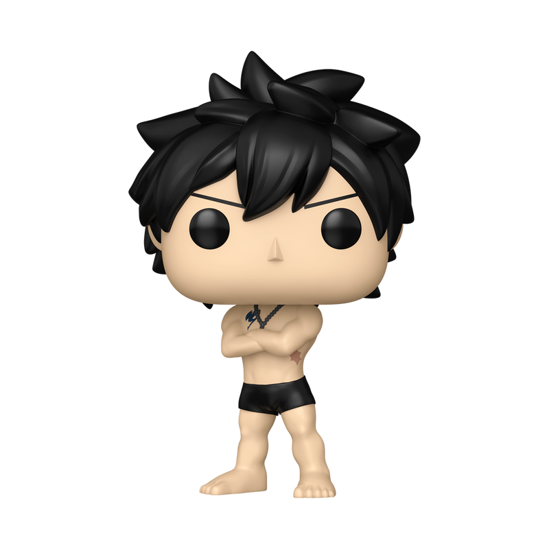 Gray Funko Pop! #2287 Chase stock photo out-of-box from Fairy Tail 100 Years Quest