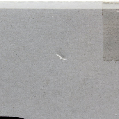 Top dent damage visible on Funko Pop The Shining Grady Twins 2 Pack box