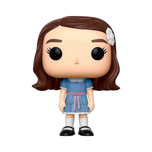 Funko Pop The Shining Grady Twins 2 Pack figures shown out of box
